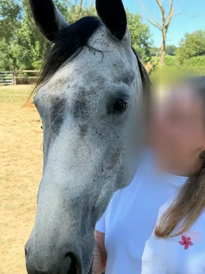Helena, 18
